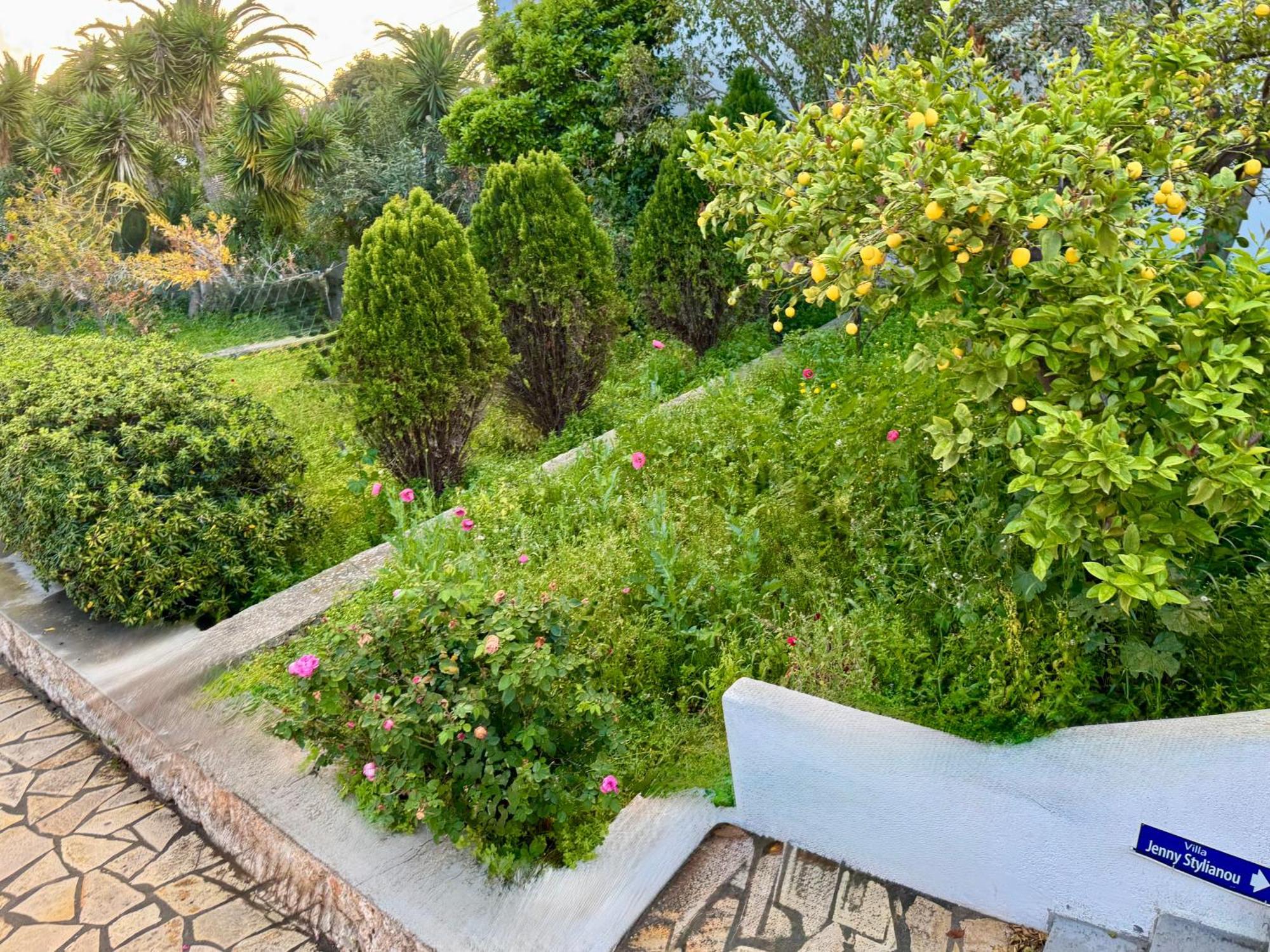 Villa Jenny Stylianou Spetses Town ภายนอก รูปภาพ